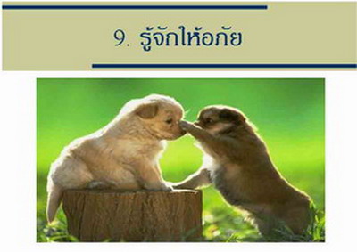 HaPPy Life ทำอย่างไรให้ชีวิตมีสุข