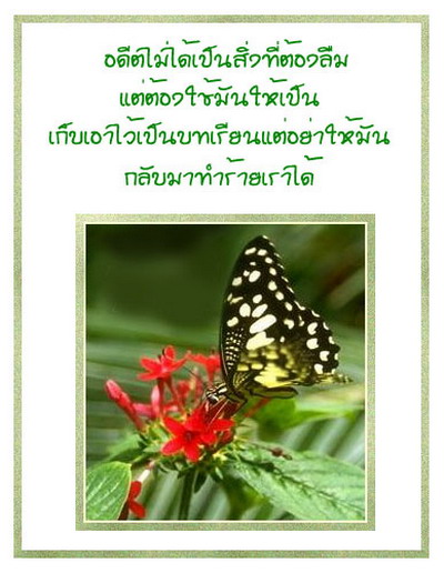  คำคมความรักโดนใจ