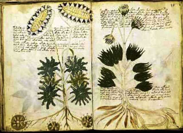 The Voynich Manuscript