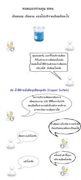 เลือดจมเลือดลอยคืออะไร By หมอแมว