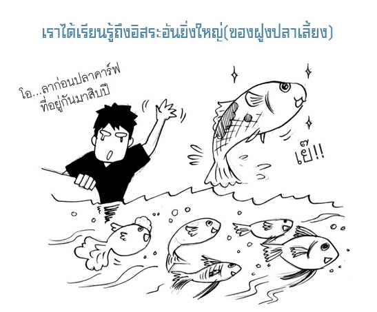 บทเรียนจากน้ำท่วม