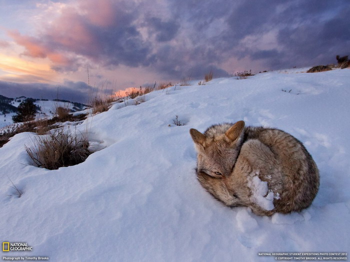 ทีเด็ด National Geographic ประจำเดือน กรกฏาคม 