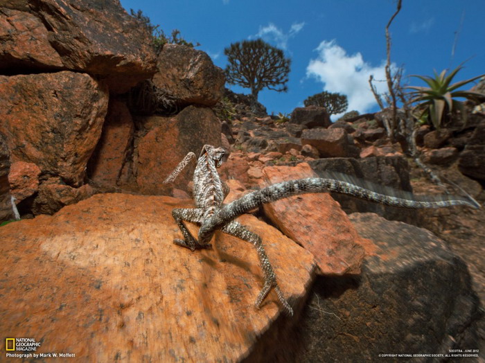 ทีเด็ด National Geographic ประจำเดือน กรกฏาคม 