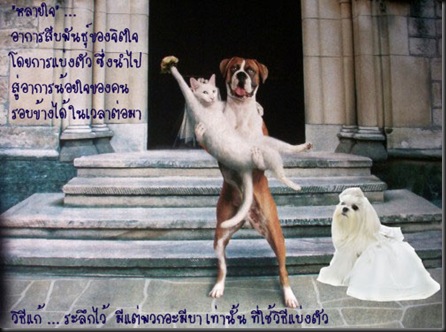 อาการของหัวใจ