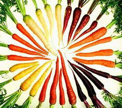 ประโยชน์ของสีสันในผักและผลไม้ 