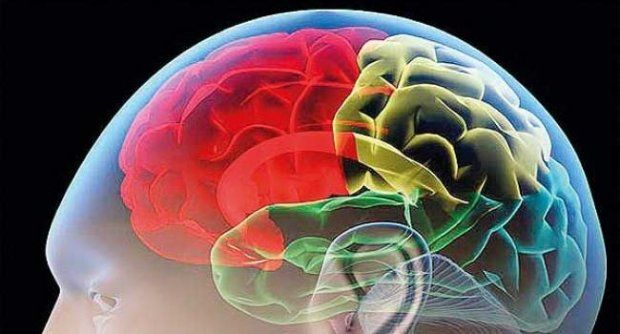 สหรัฐเผยโครงการศึกษาสมองคนเพื่อรักษาอัลไซเมอร์
