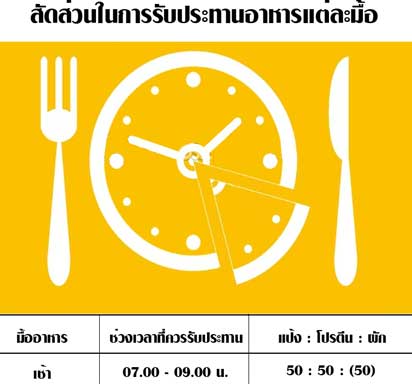 สัดส่วนในการรับประทานอาหารในแต่ละมื้อ