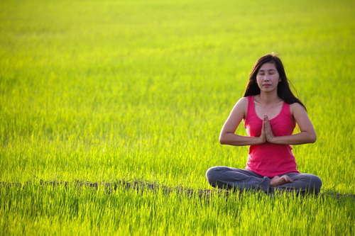 ‘เจ’ กับ ‘มังสวิรัติ’ ต่างกันอย่างไร มาดูกัน?