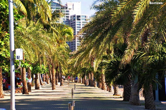 ว่อนเน็ตชายหาดพัทยาเปลี่ยนไป๊ สวยงามสุดๆอย่างกับฮาวาย 