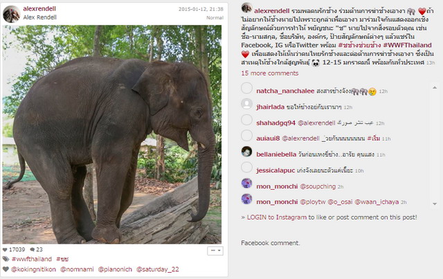 ช.ช้าง หายไป สื่อทั่วไทยออกตามหา