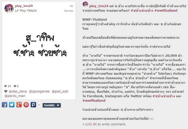 ช.ช้าง หายไป สื่อทั่วไทยออกตามหา