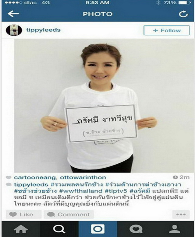 ช.ช้าง หายไป สื่อทั่วไทยออกตามหา