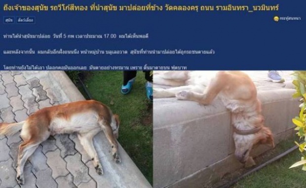 สงสารจับใจ หมาถูกทิ้ง ตายอนาถข้างถนน!