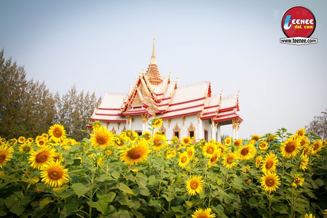 กราบหลวงพ่อโตองค์ใหญ่ที่สุดในโลกที่อ.สีคิ้ว จ.โคราช