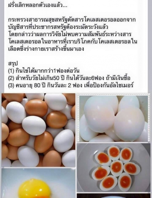 ความจริง เกี่ยวกับเรื่อง ไข่ ไข่