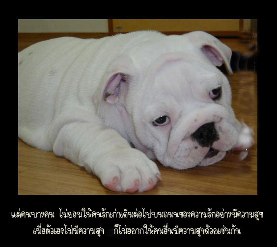 ความรู้สึกที่ไม่น่าล้อเล่นเลย