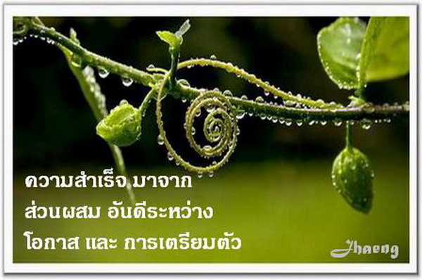 คำคม...โดนใจ