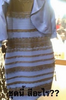 แชร์สนั่นทั้งโลก เสื้อตัวนี้..คุณเห็นเป็นสีอะไร??