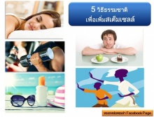 5 วิธีธรรมชาติ เพิ่มสเต็มเซลล์ให้ร่างกาย