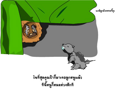 ผิดไหม? ที่เกิดมาเป็นหมาข้างถนน 