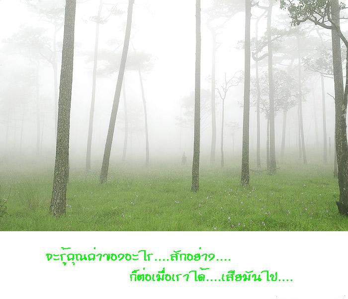 กว่าจะรู้ว่า.....