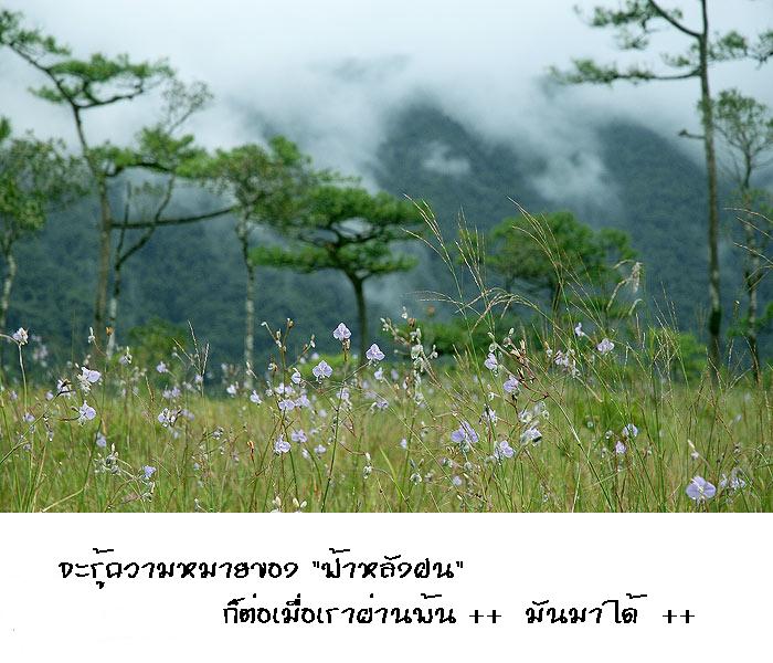 กว่าจะรู้ว่า.....