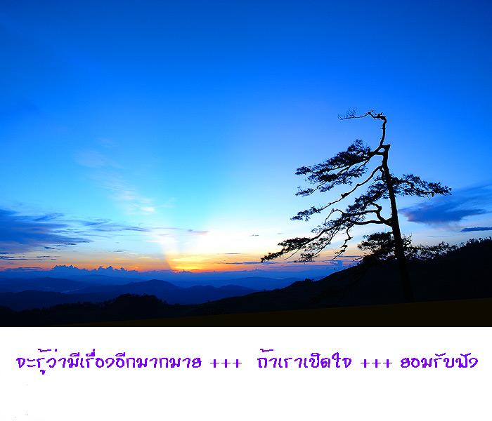 กว่าจะรู้ว่า.....