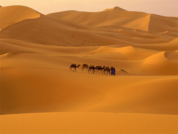 กำเนิดทะเลทราย Sahara 