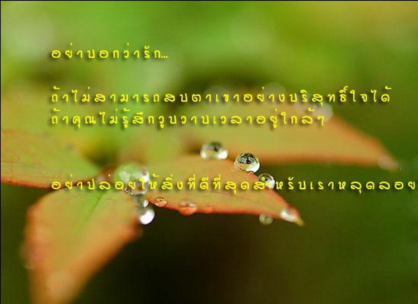 รักไม่มีคำบรรยาย