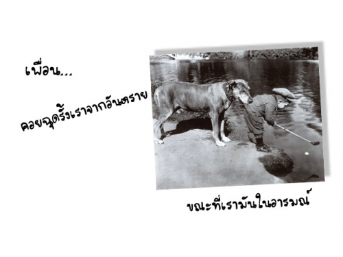 สื่อด้วยภาพ--- น่ารักมากๆ‏