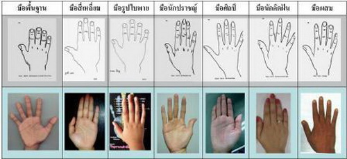 ลักษณะ มือ 7 ประเภท ของมนุษย์