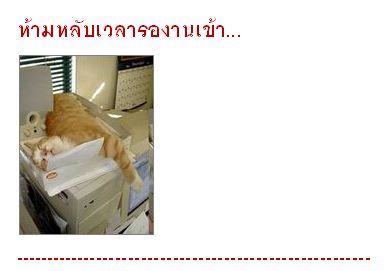 ข้อห้ามในวันทำงาน แบบน่ารัก น่ารัก