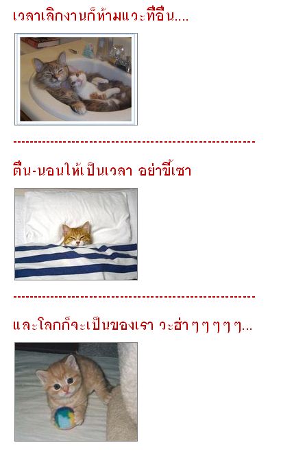 ข้อห้ามในวันทำงาน แบบน่ารัก น่ารัก