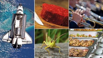 แมลง-เนื้อหลอดแก้วอาหารแห่งอนาคต? เราจะกินอะไรในอีก 20 ปีข้างหน้า