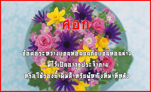 เรื่องของ..อวัยวะ