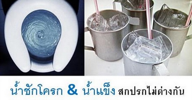 ถ้าคิดว่า ‘น้ำชักโครก’ สกปรกแล้ว ‘น้ำแข็ง’ ที่คุณกินอาจสกปรกมากกว่า