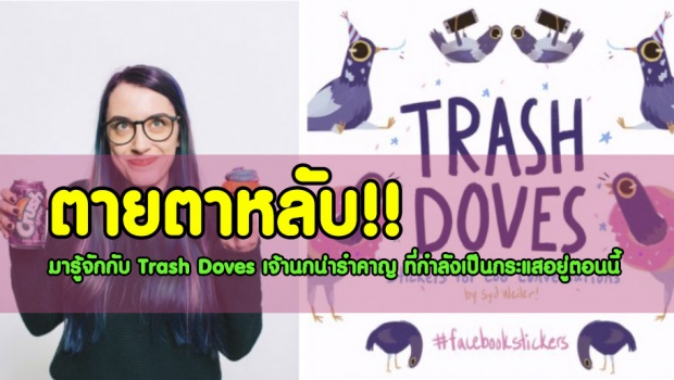 ตายตาหลับ!! รู้จักกับ Trash Doves เจ้านกน่ารำคาญ ที่กำลังเป็นกระแสอยู่ตอนนี้