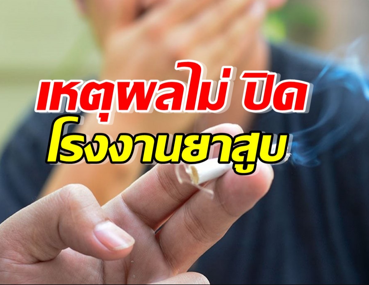 อินฟลูฯคนดังกระแทกแรง เหตุผลที่ไทยไม่ปิดโรงงานยาสูบ