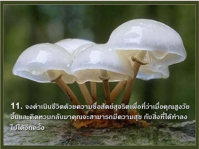 นิยาม...