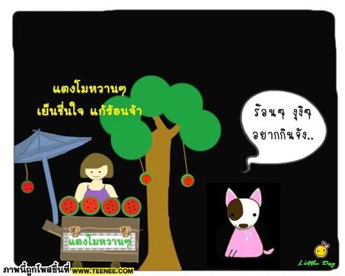 >> แตงโม..มหัศจรรย์^^