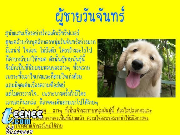 ผู้ชายของคุณ เปรียบได้กับสุนัขพันธ์อะไร...