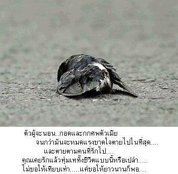 อนิจจา...ความรัก