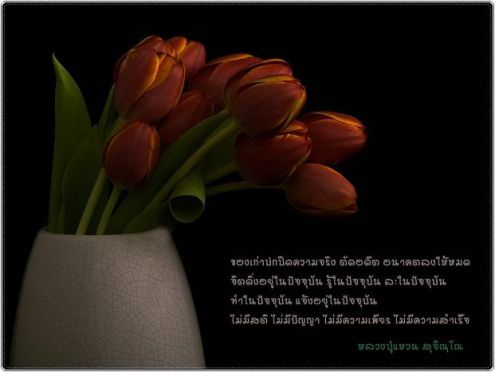 ของเก่าปกปิดความจริง...(หลวงปู่แหวน สฺจิณฺโณ)