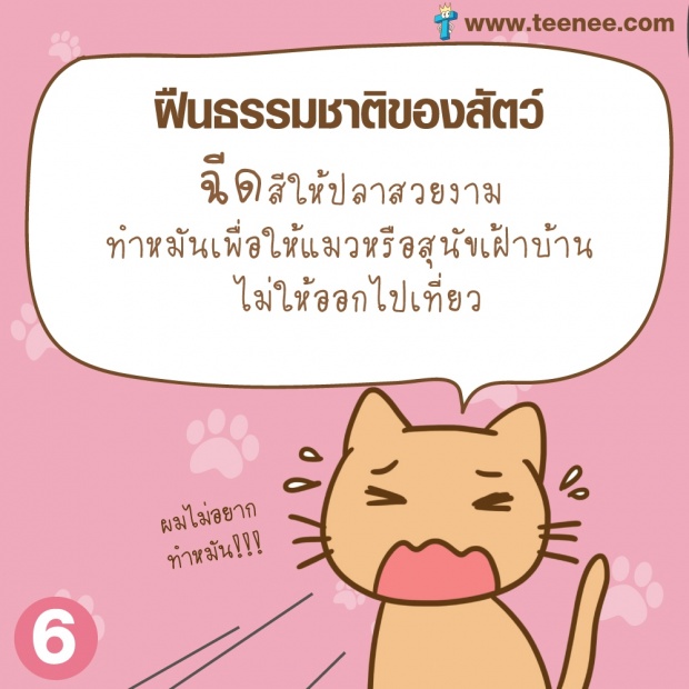 เลี้ยงสัตว์อย่างไร ไม่ให้บาป?