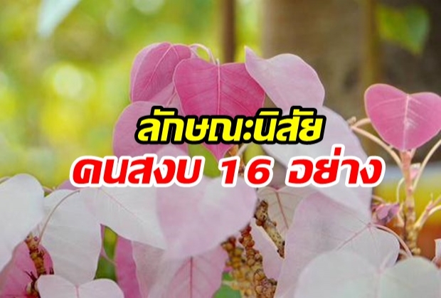 ลักษณะนิสัยคนสงบ 16 อย่าง จากโอวาทหลวงปู่มั่น ภูริทตฺโต