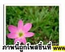 ..อยู่ในใจ..