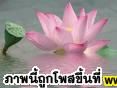 เคล็ดในการแก้กรรมสะเดาะเคราะห์