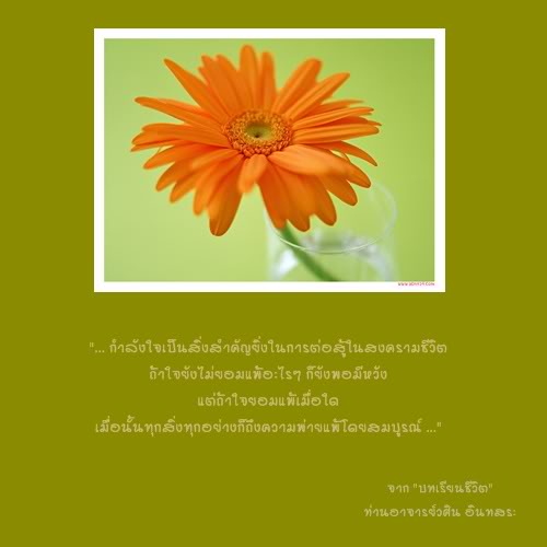 ข้อคิดพินิจธรรม