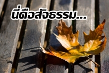 ทนได้ก็ทน ทนไม่ได้ ก็พ่ายแพ้ไป – สัจธรรมในโลกแห่งการแข่งขัน