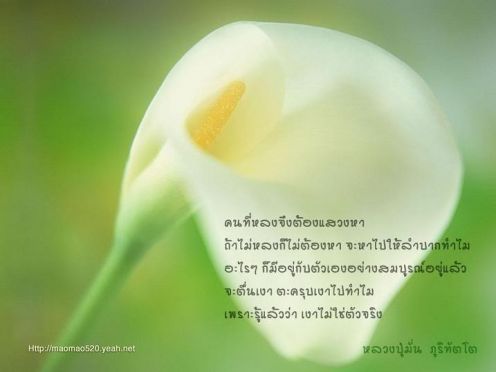 คนที่หลงจึงแสวงหา...(หลวงปู่มั่น ภูริทัตโต)